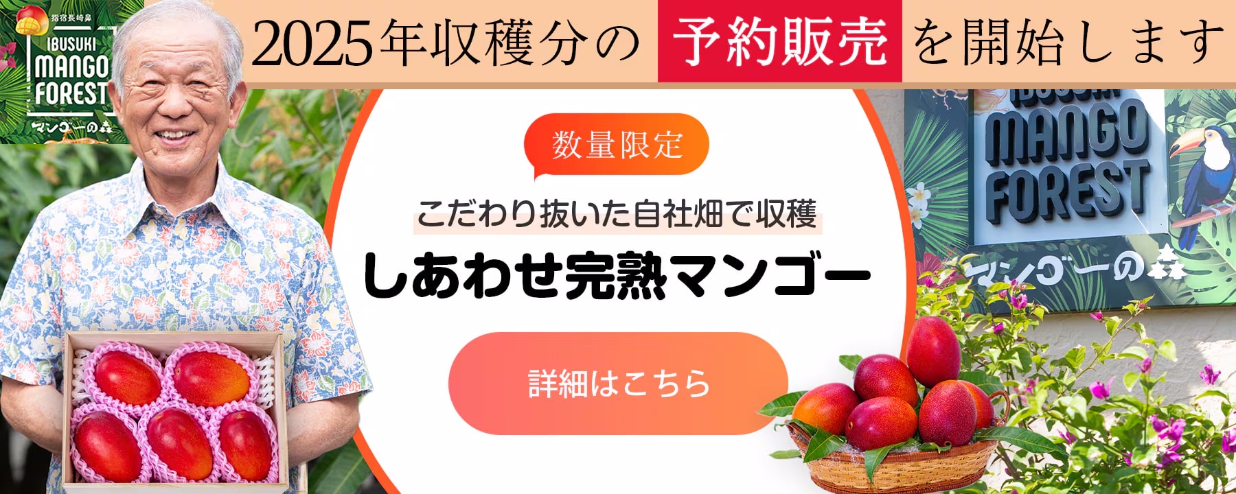 2025年収穫分の予約販売を開始します【数量限定】こだわり抜いた自社畑で収穫 しあわせ完熟マンゴー 詳細はこちら